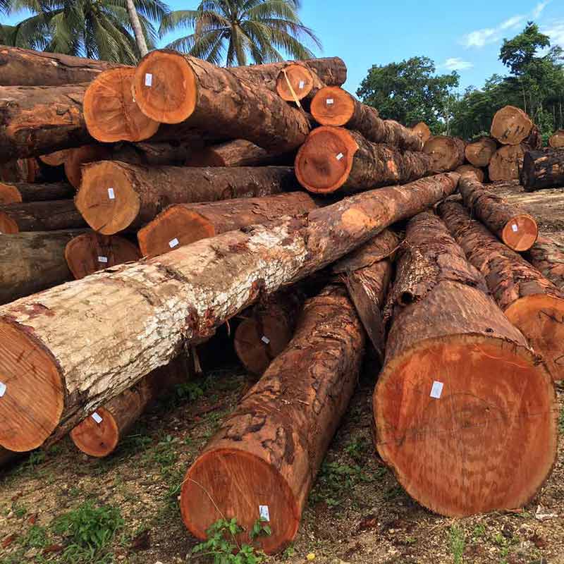 所罗门木材
