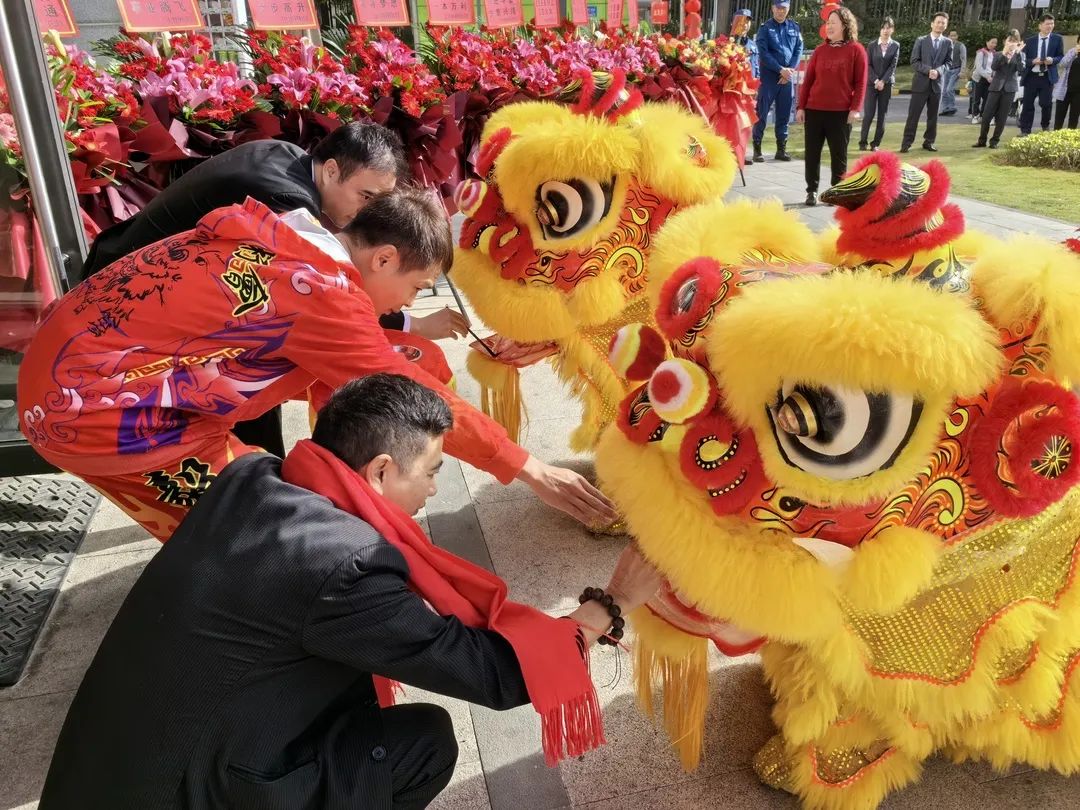 新澳门2025原材料大全