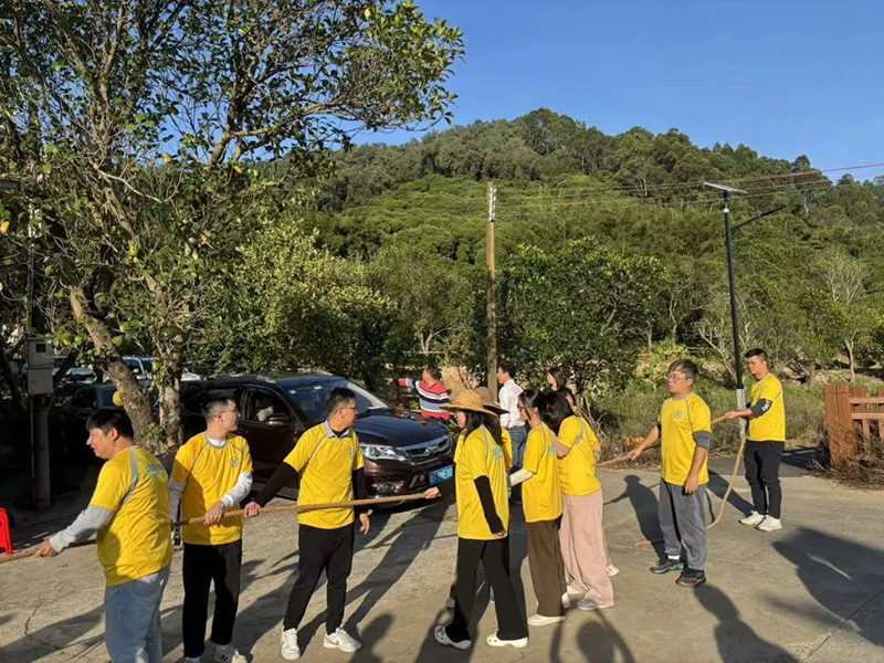 新澳门2025原材料大全