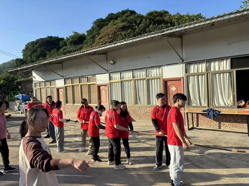 新澳门2025原材料大全