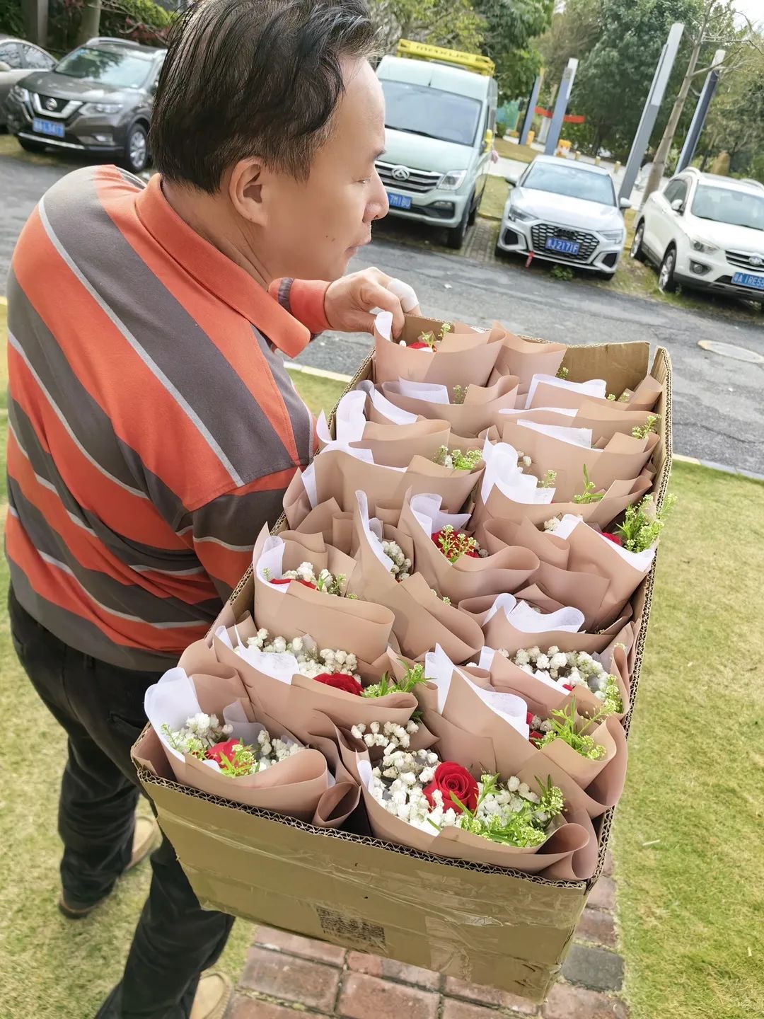 新澳门2025原材料大全