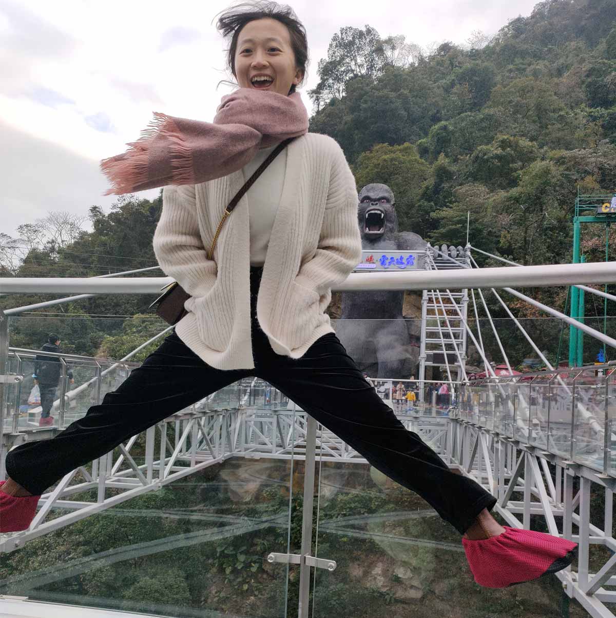 新澳门2025原材料大全