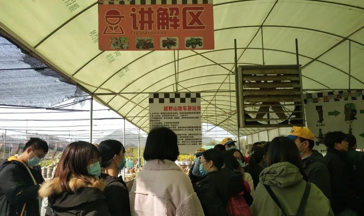 新澳门2025原材料大全