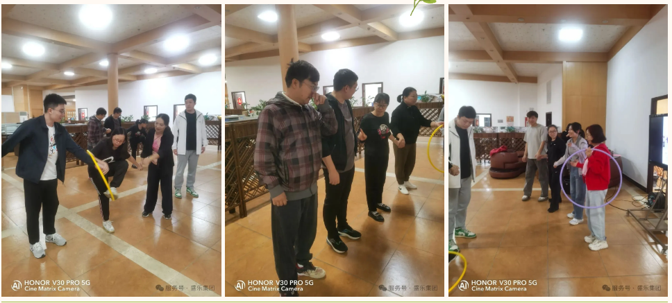 新澳门2025原材料大全