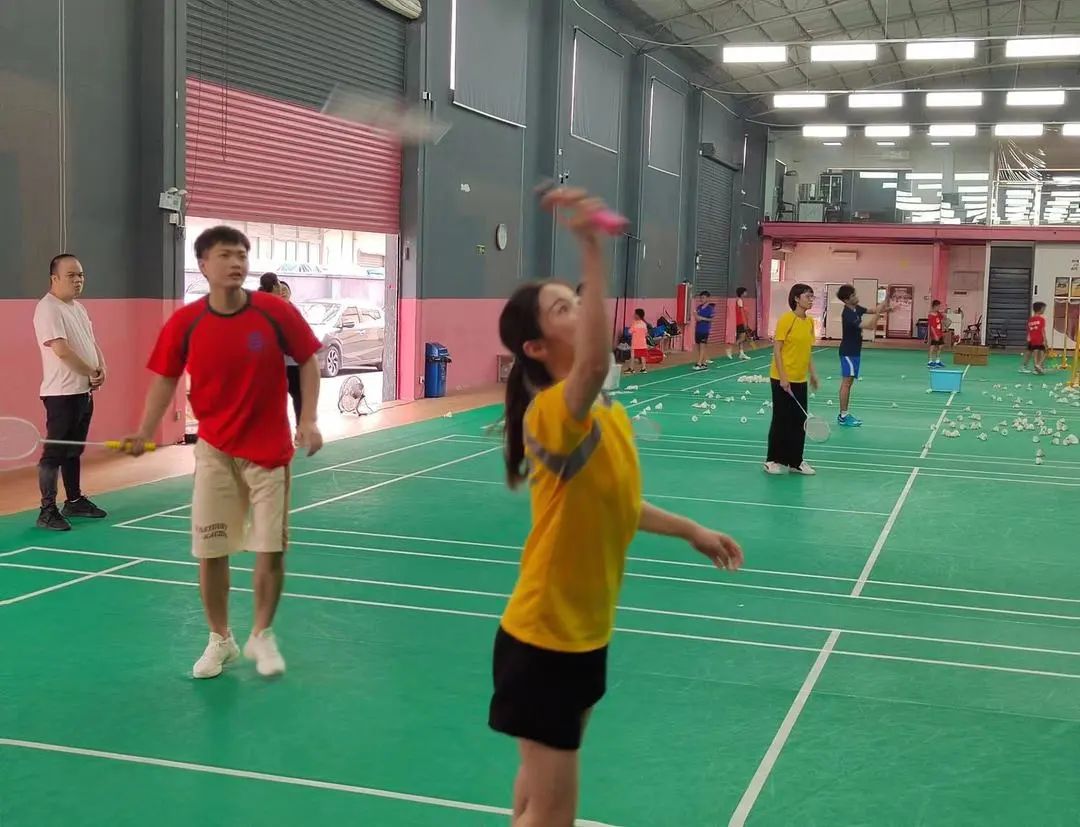 新澳门2025原材料大全