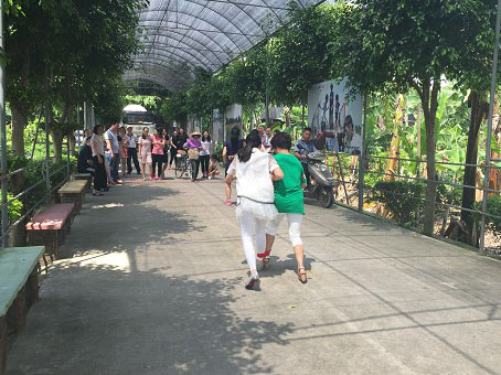 2016广州番禺“永乐农庄”农家乐活动