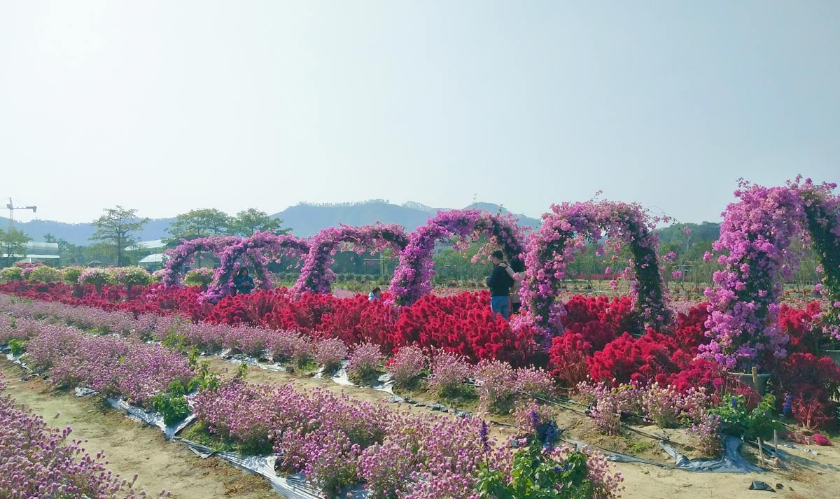 新澳门2025原材料大全