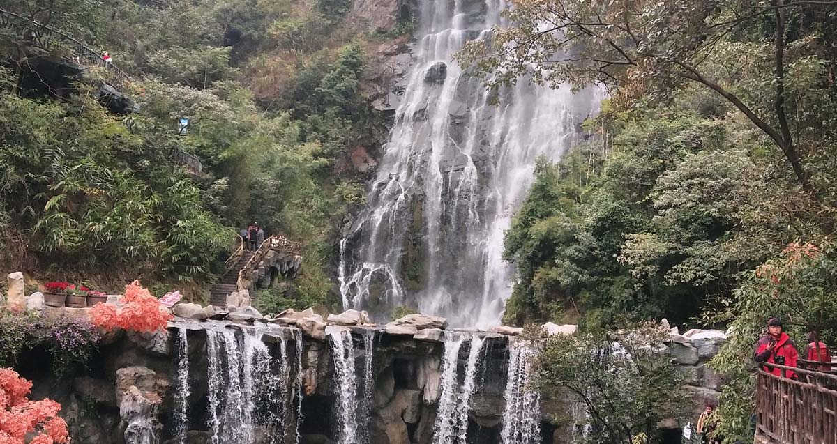 新澳门2025原材料大全