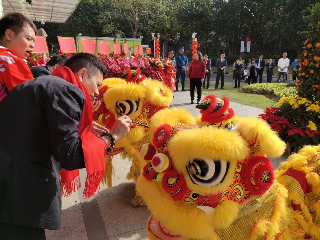 新澳门2025原材料大全