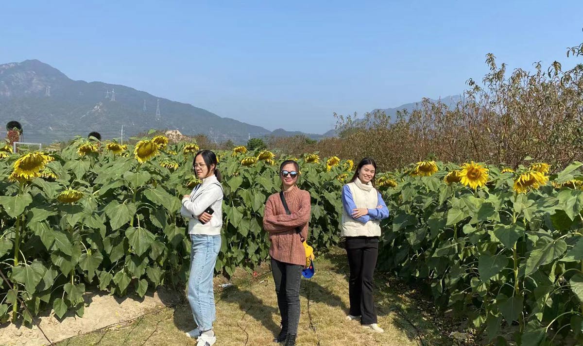 新澳门2025原材料大全